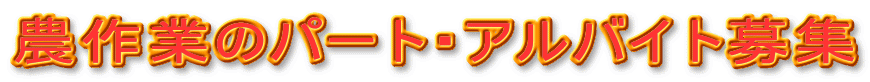 _Ƃ̃p[gEAoCgW
