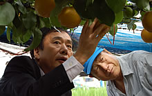 cm