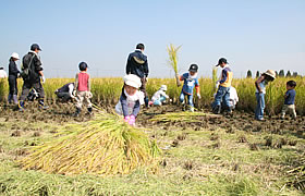 �݂�Ȃň��