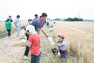 �e�q�Ŏ��n�̌�