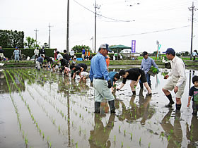 �c�A���𗬉�