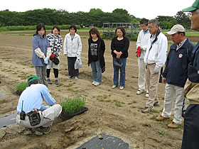 �t���b�V���~�Y�𗬉�