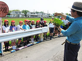 �����Ă�c�A��