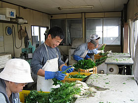 �~�c�o�̏o�ב�Z��