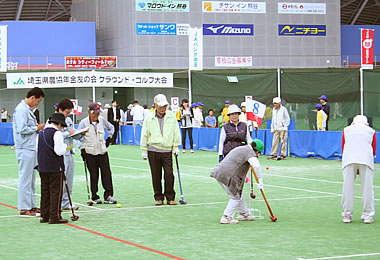 �O���E���h�S���t���