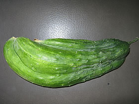 LE