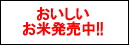 ʂ̂₫@VĔ
